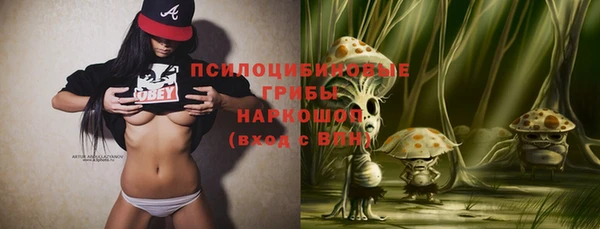 синтетический гашиш Алексин