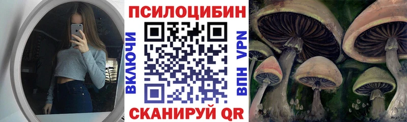 Галлюциногенные грибы Psilocybine cubensis  Саки 