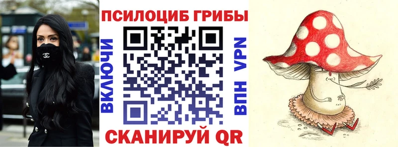 Псилоцибиновые грибы мицелий Саки
