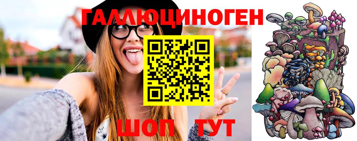 Псилоцибиновые грибы Psilocybe Саки