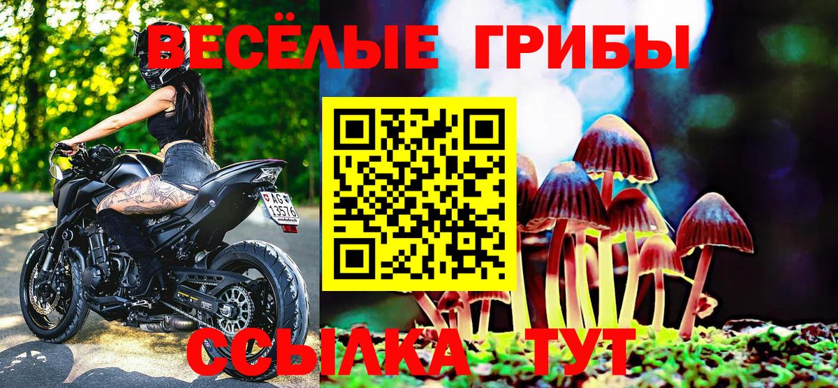 Галлюциногенные грибы ЛСД  Галлюциногенные грибы MAGIC MUSHROOMS  Саки  Вход с VPN 